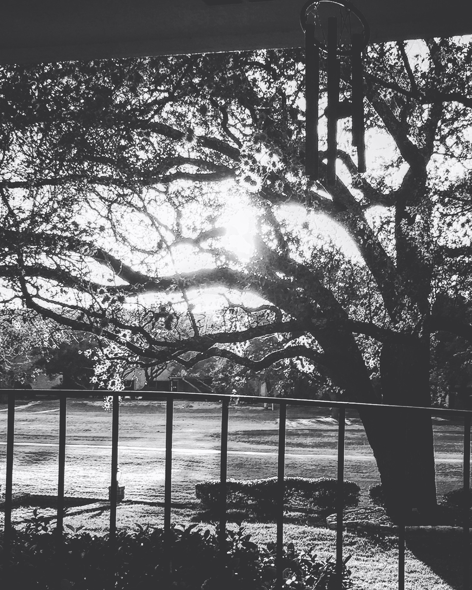 Free Unsplash photo from Karin Brauner