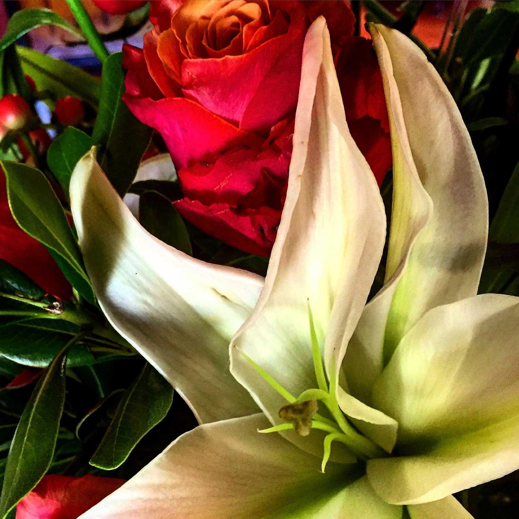 Free Unsplash photo from Karin Brauner