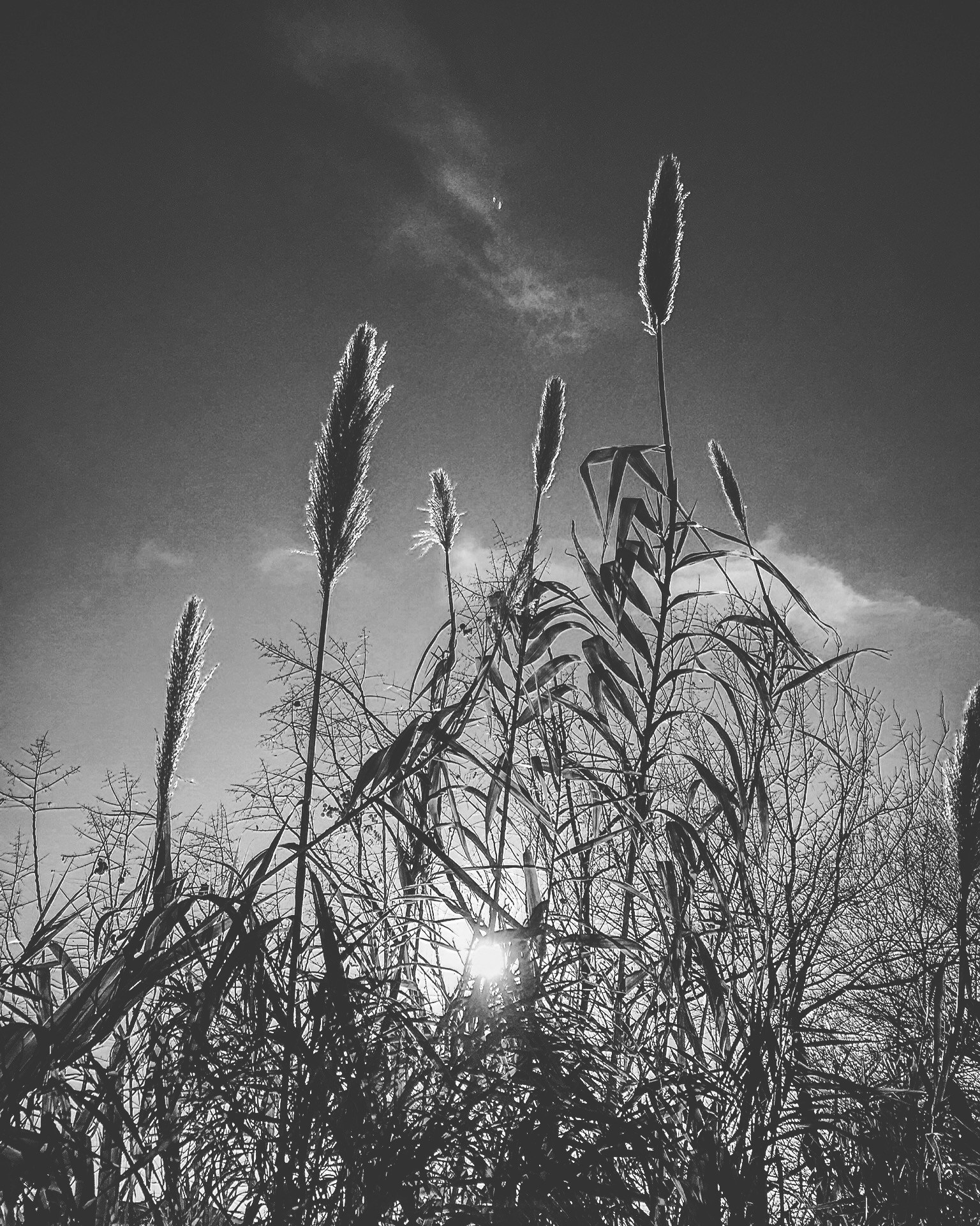 Free Unsplash photo from Karin Brauner