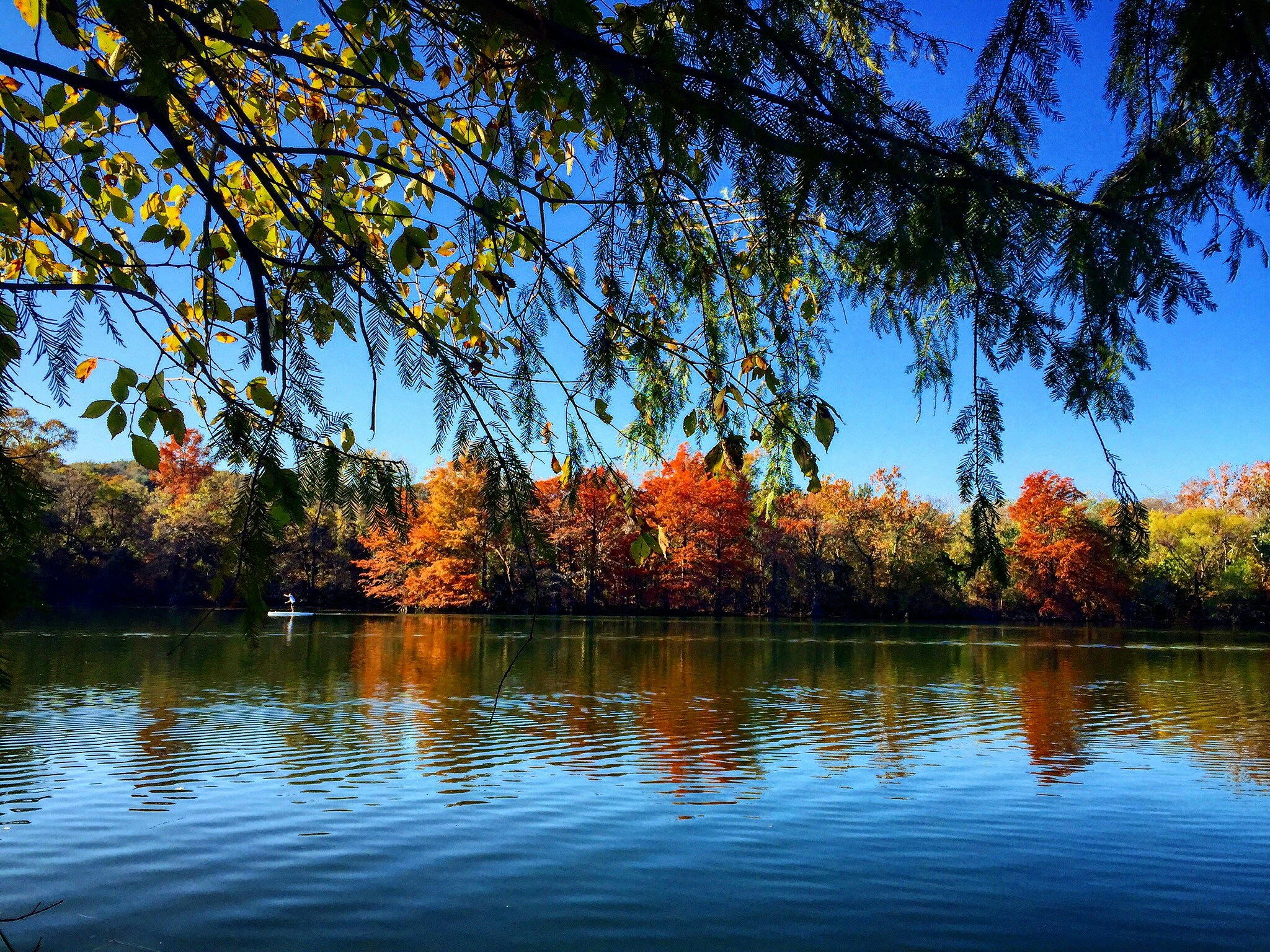 Free Unsplash photo from Karin Brauner