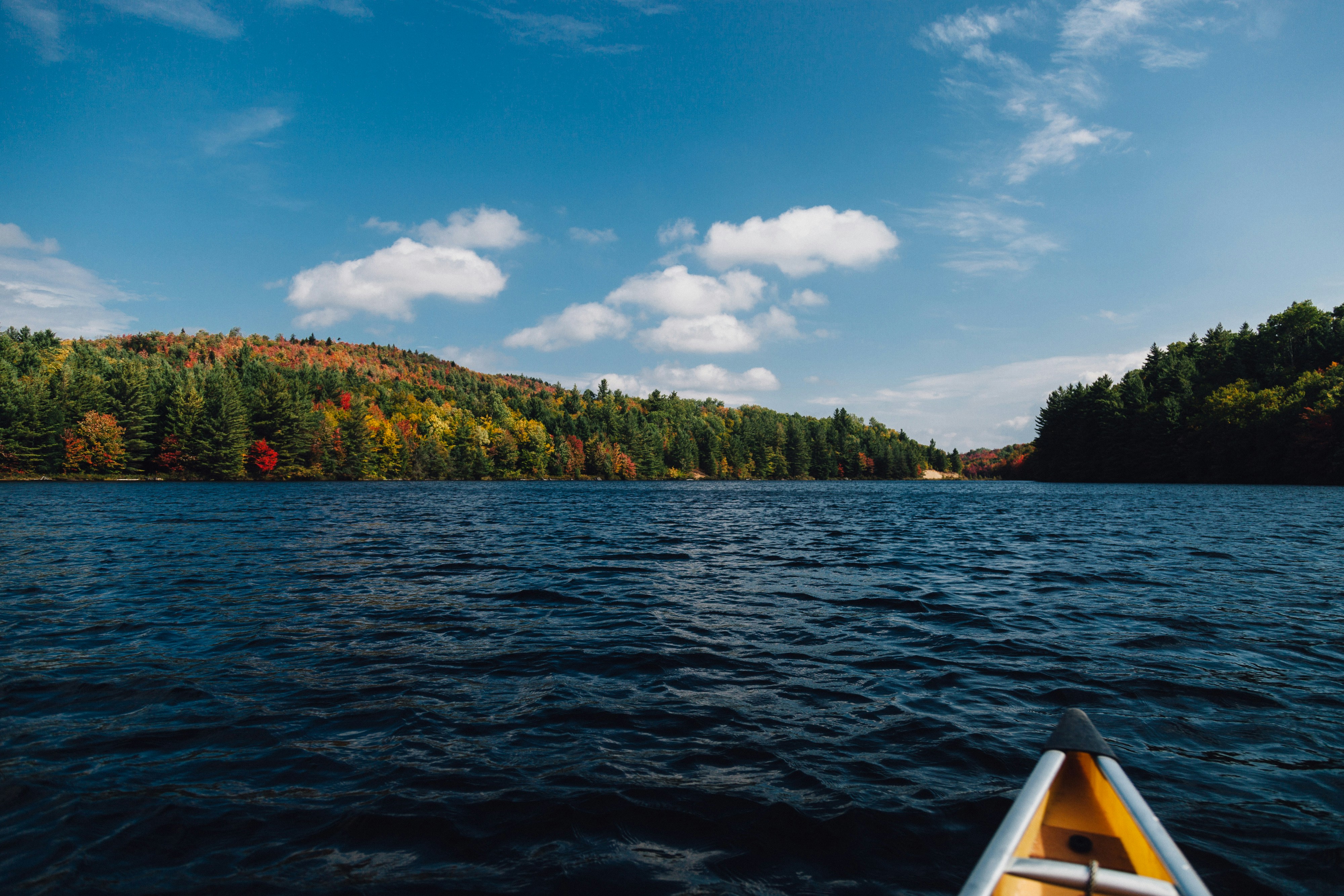 Free Unsplash photo from Ben Duchac