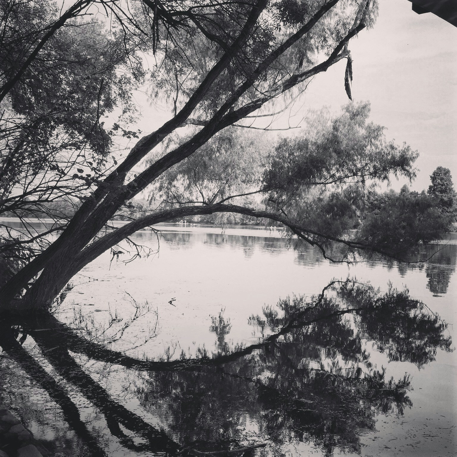 Free Unsplash photo from Karin Brauner