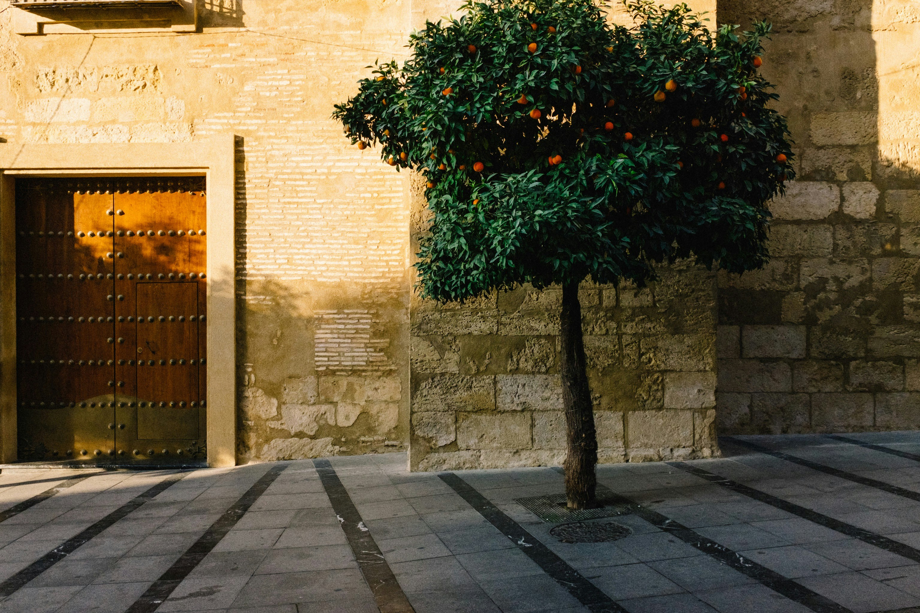 Prasówka #34: z życia pomarańczy