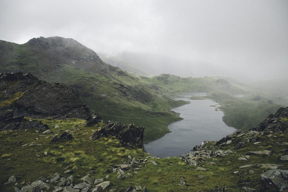 Campo de hierba cerca de la cordillera de la niebla