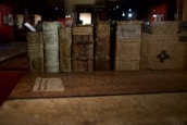 A row of antique books with worn, textured covers and aged spines are displayed, featuring old-fashioned lettering. The setting is dimly lit, contributing to an atmosphere of history and preservation.