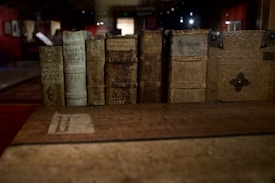 A row of antique books with worn, textured covers and aged spines are displayed, featuring old-fashioned lettering. The setting is dimly lit, contributing to an atmosphere of history and preservation.