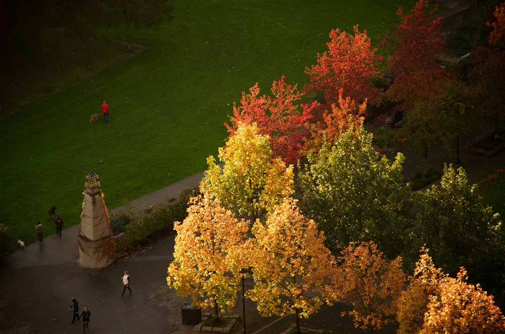 Autumn leaves near a lake.