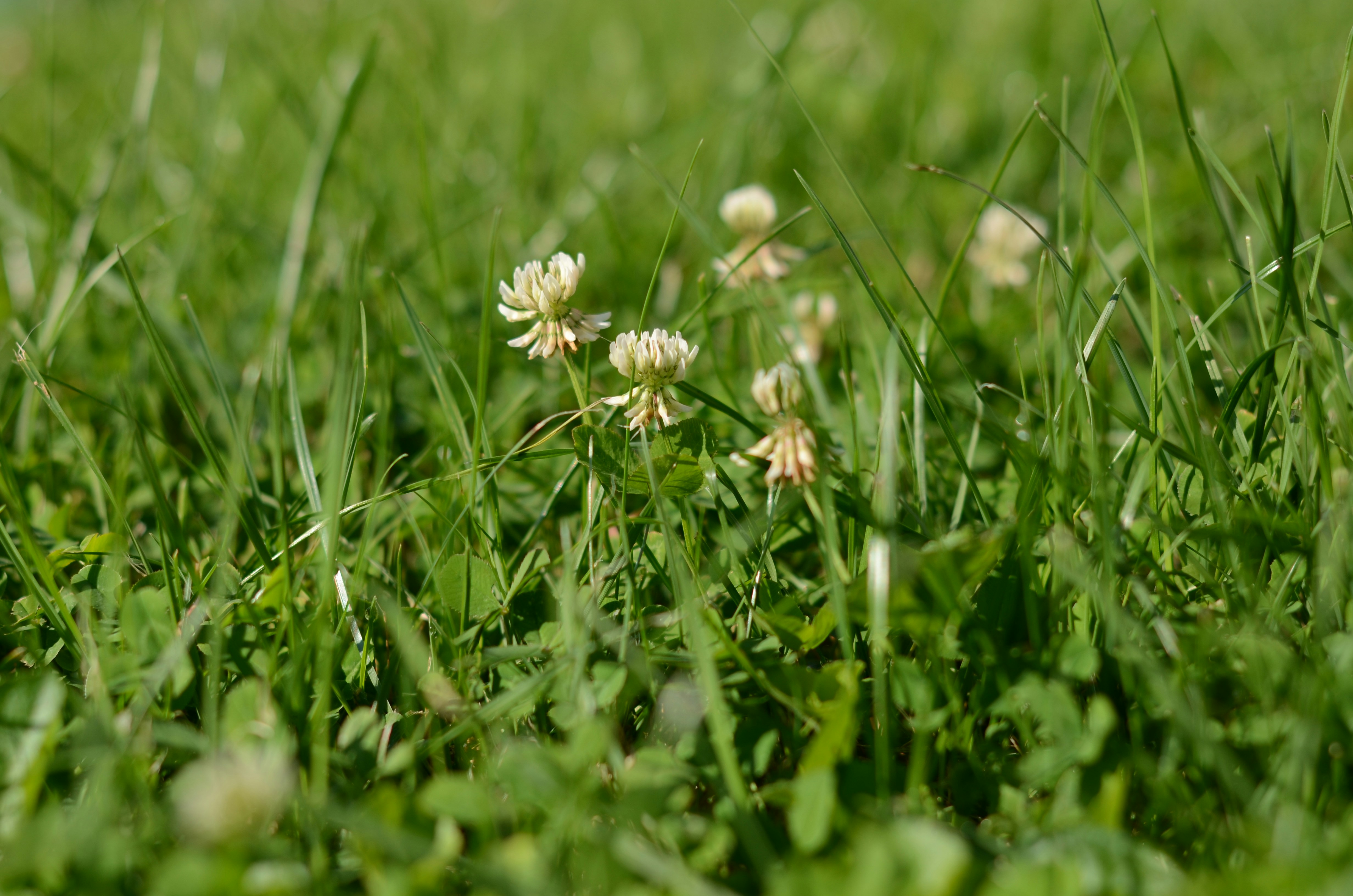 Free Unsplash photo from Bastian Rang