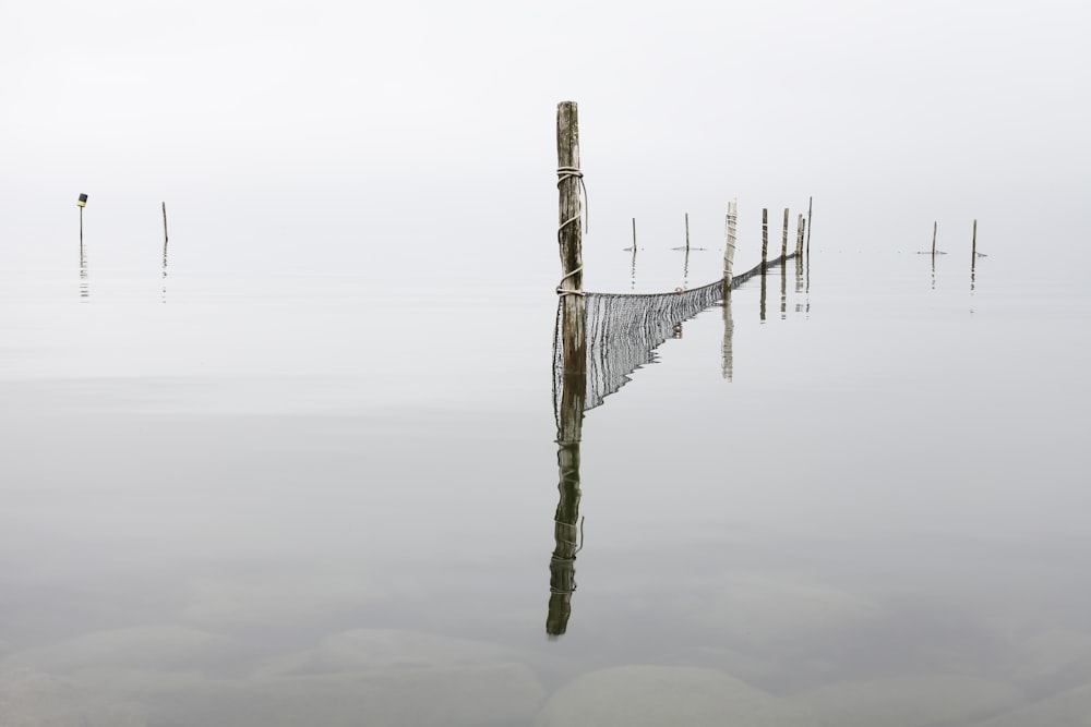 landscape photo of water wood fence