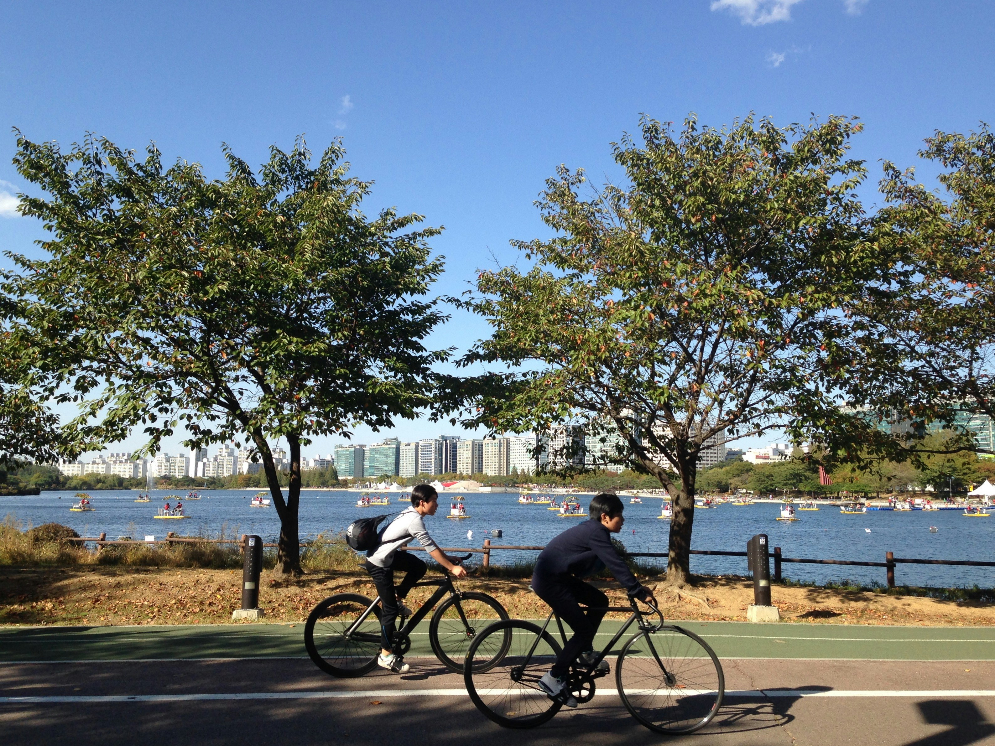 Free Unsplash photo from Yeseul Choi