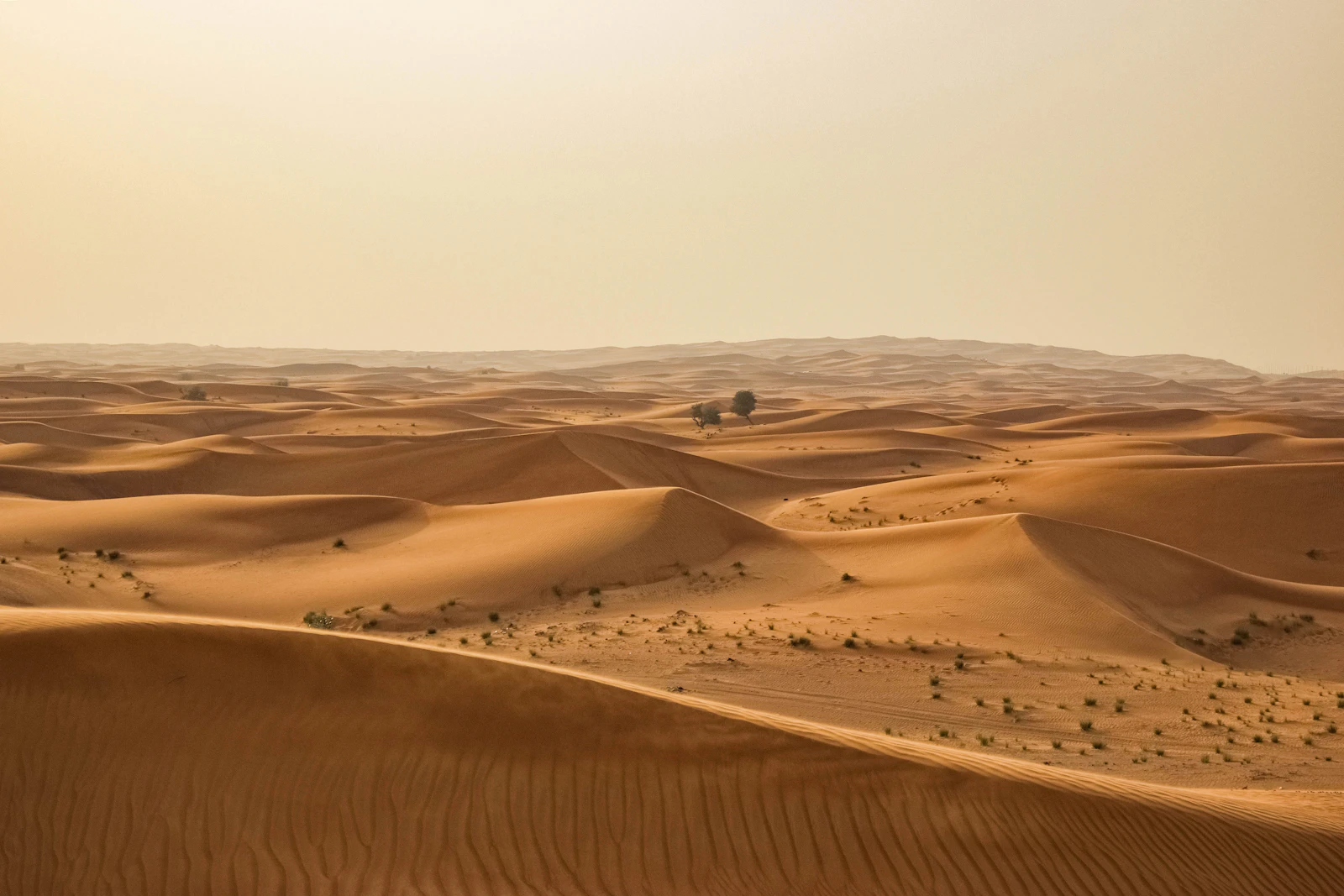 Warm early light over rolling Dubai desert dunes