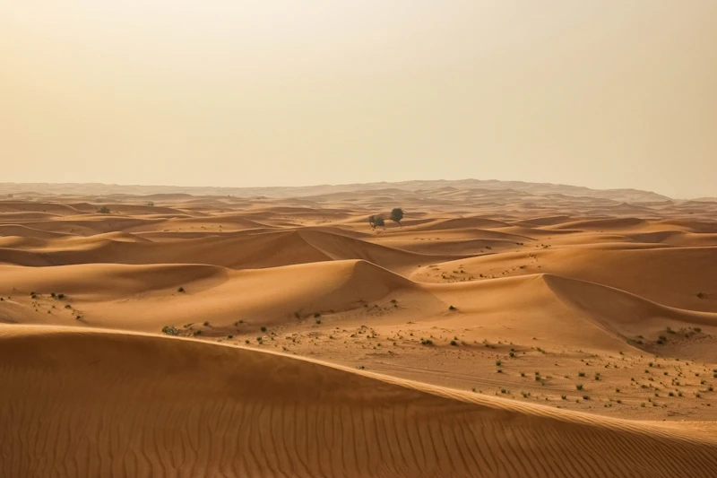 Warm early light over rolling Dubai desert dunes