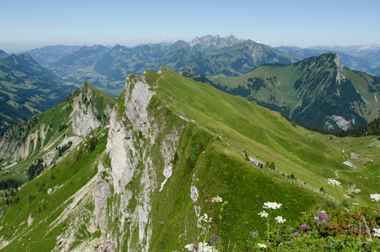 mountains covered with green plants in Regional Park Gruyère Pays-d'Enhaut Switzerland