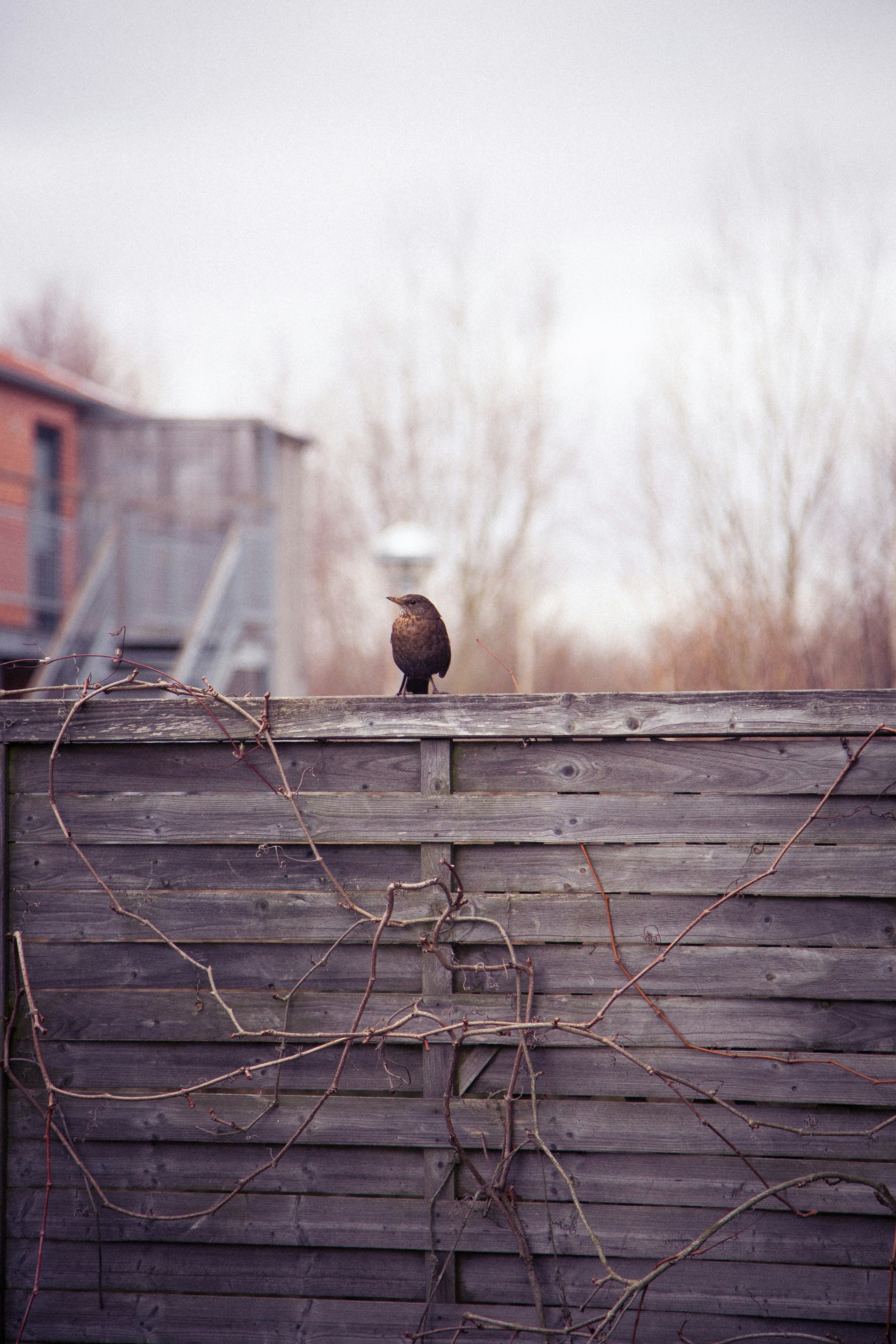 Free Unsplash photo from Mathias Elmose