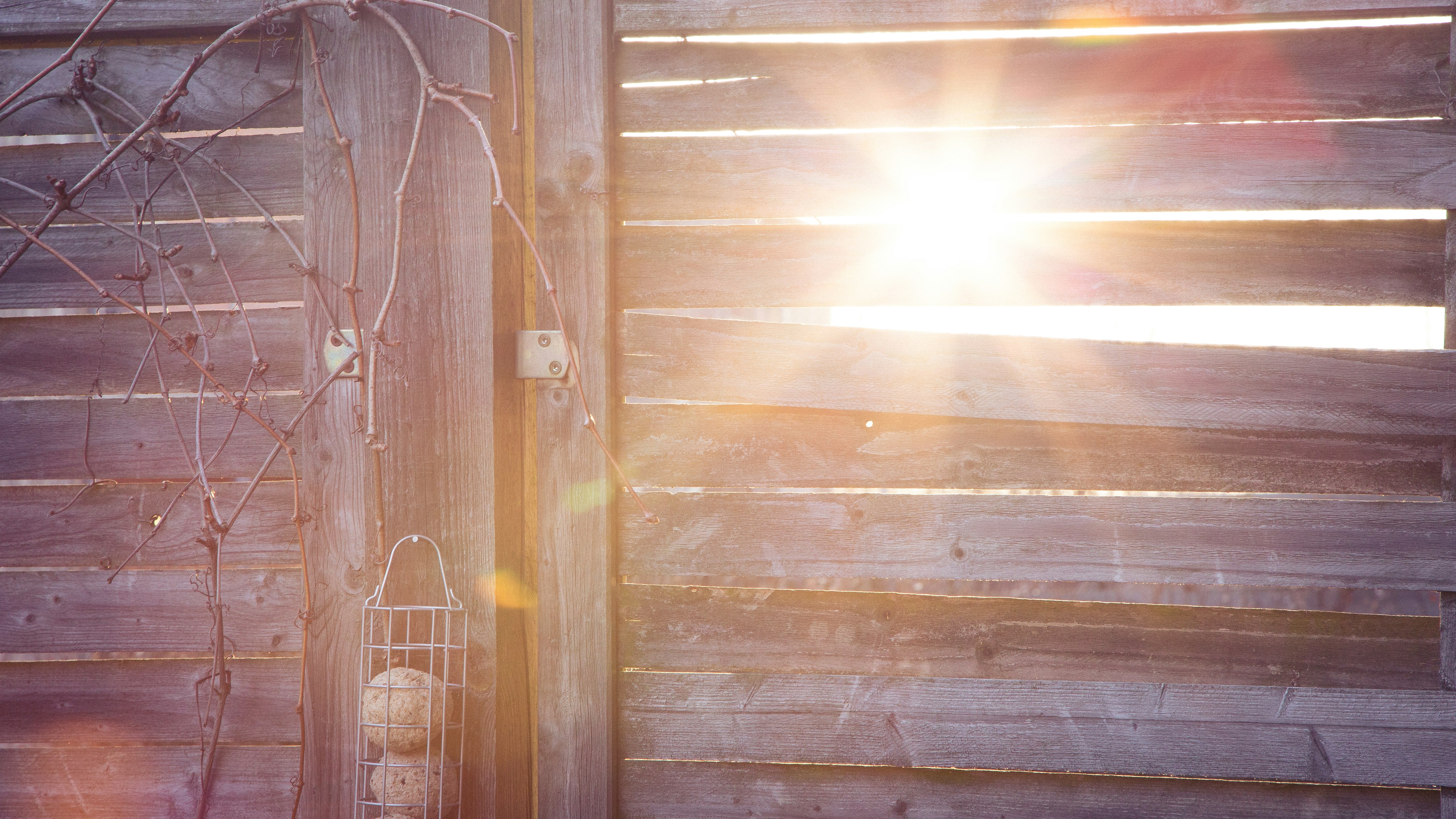 Free Unsplash photo from Mathias Elmose