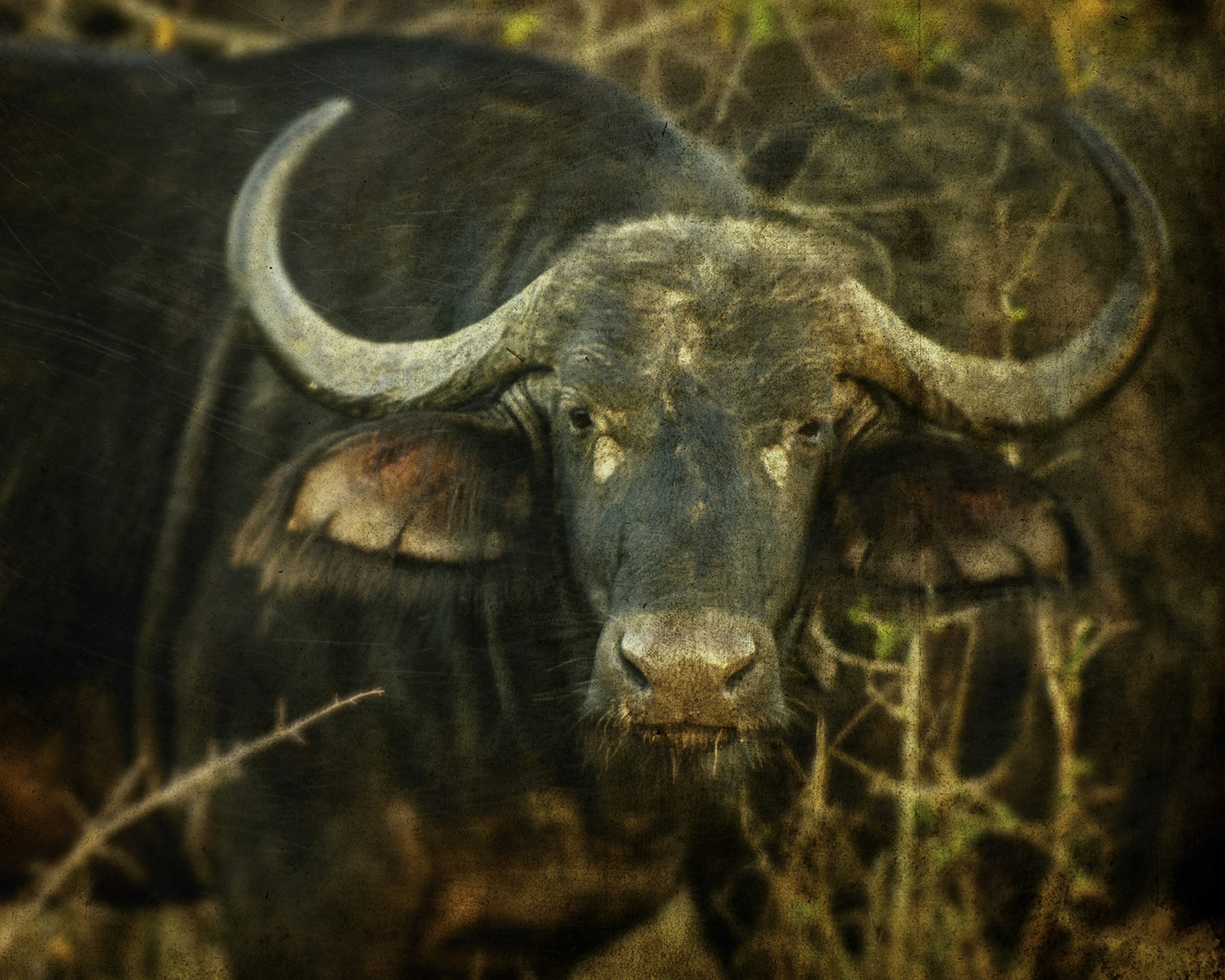 Free Unsplash photo from robin arm