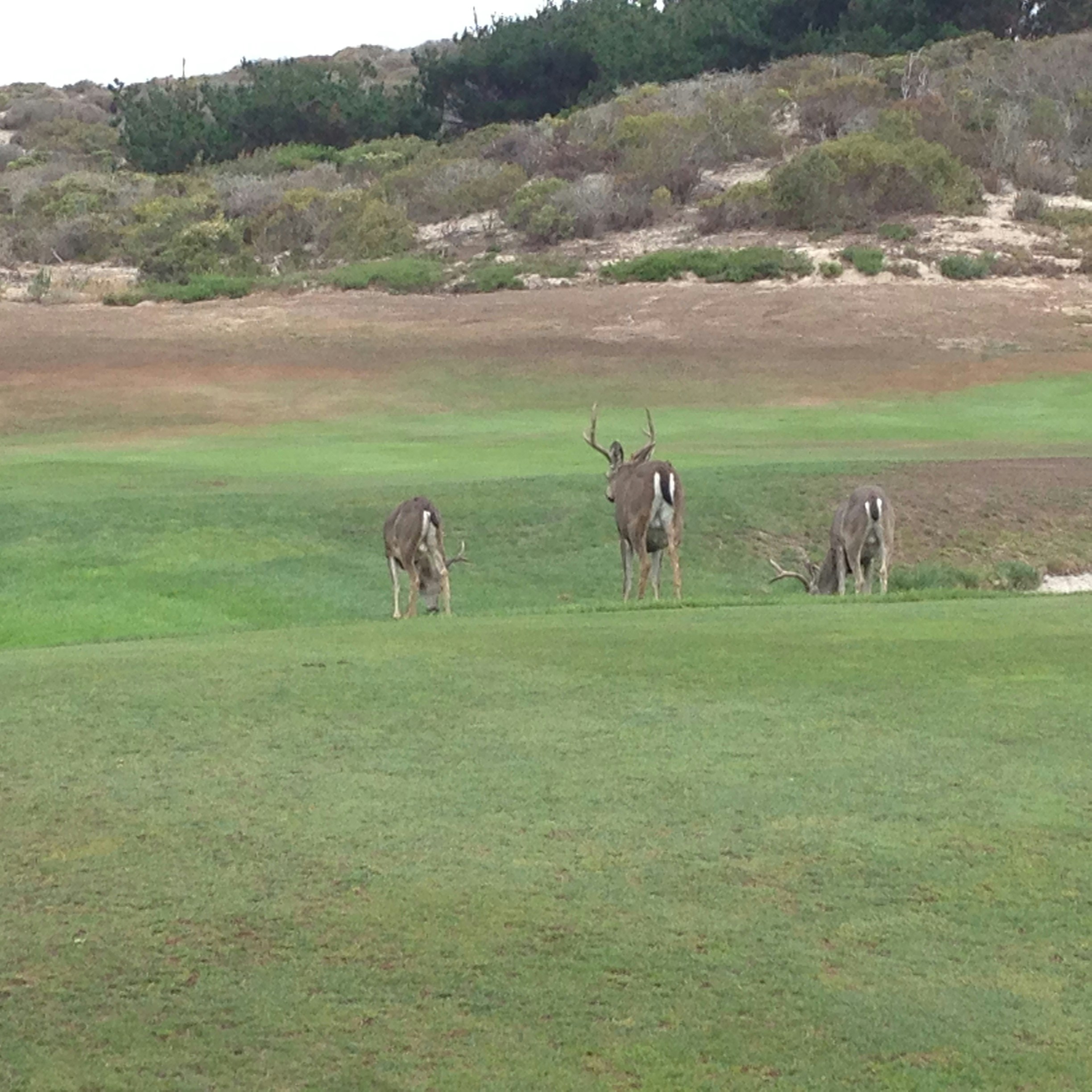 Free Unsplash photo from Aaron  Kelley