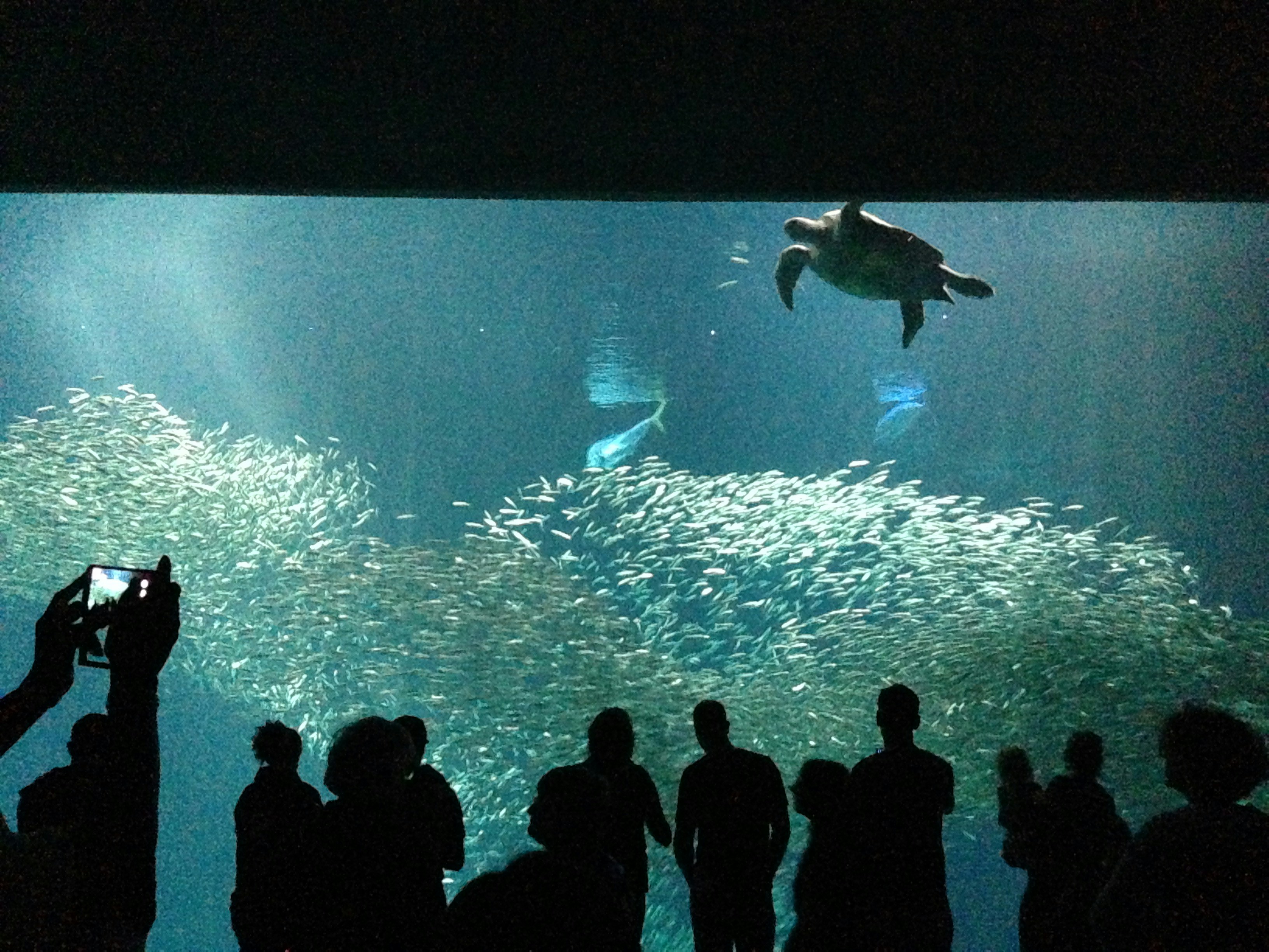 Free Unsplash photo from Aaron  Kelley