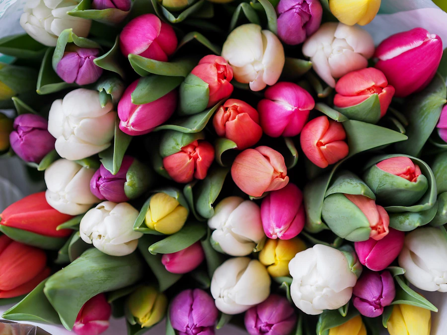Fresh colorful tulip bouquet