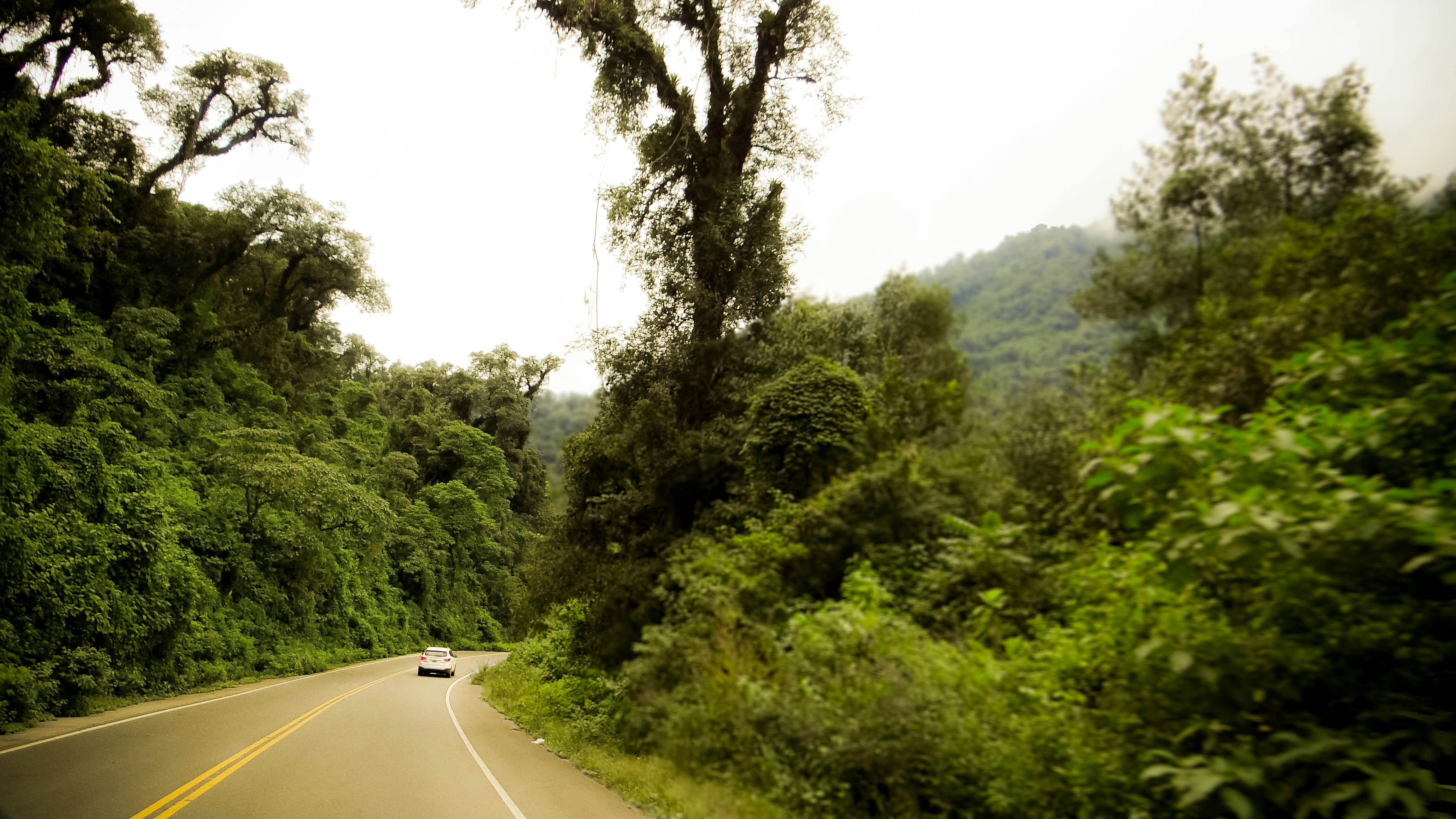 Free Unsplash photo from Jorge Adrian Castro