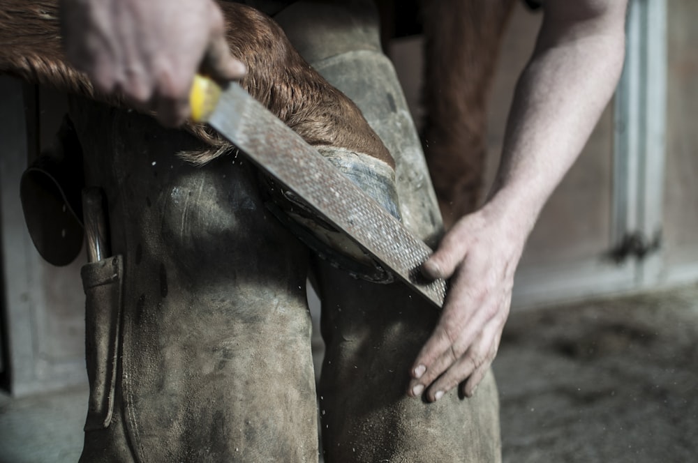 Un hombre sosteniendo el casco de un caballo contra sus rodillas y recortándolo con una lima