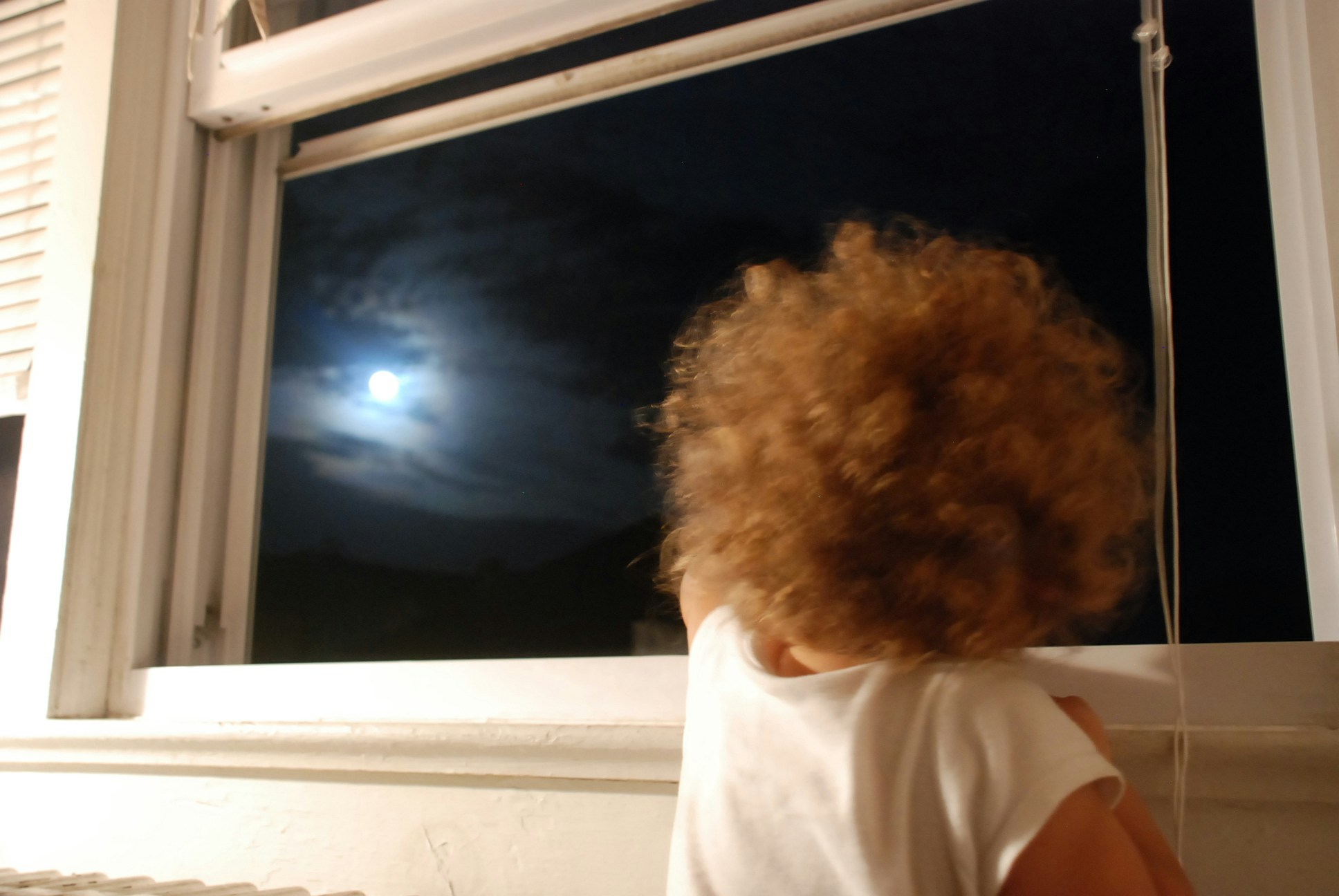 Free Unsplash photo from Cynthia Hunter