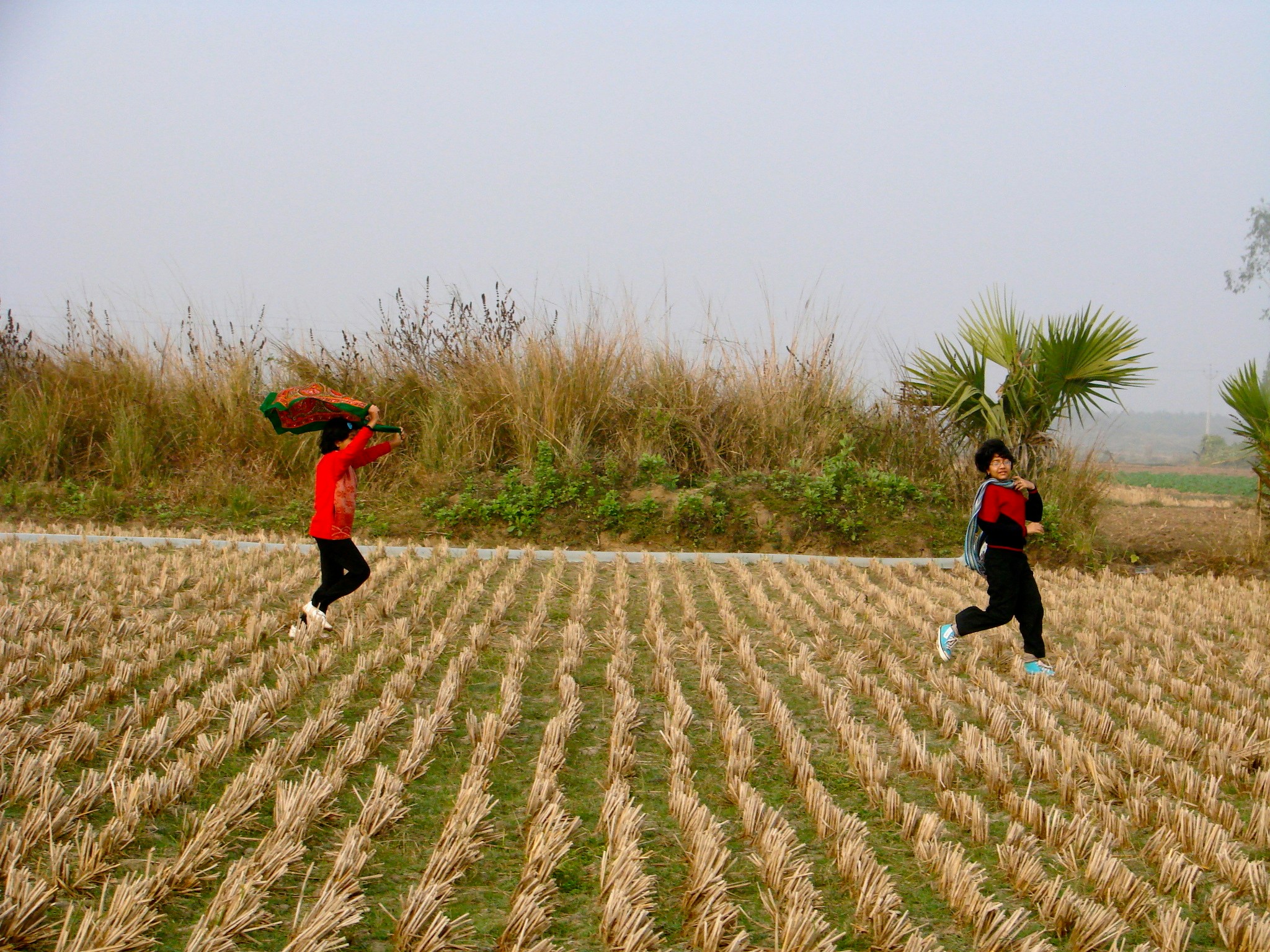 Free Unsplash photo from Nirmal Karmakar