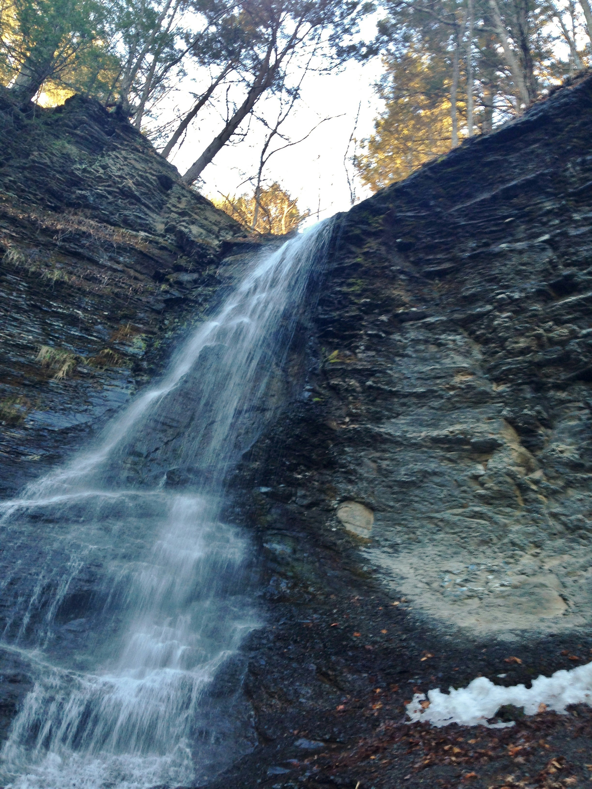 Free Unsplash photo from Cynthia Hunter