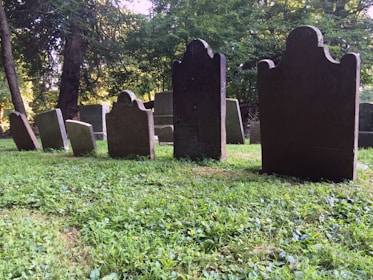 Several old headstones are arranged in a row on a lush, green grassy area, surrounded by tall trees. The headstones have a weathered appearance, adding to the historic and serene atmosphere of the setting.