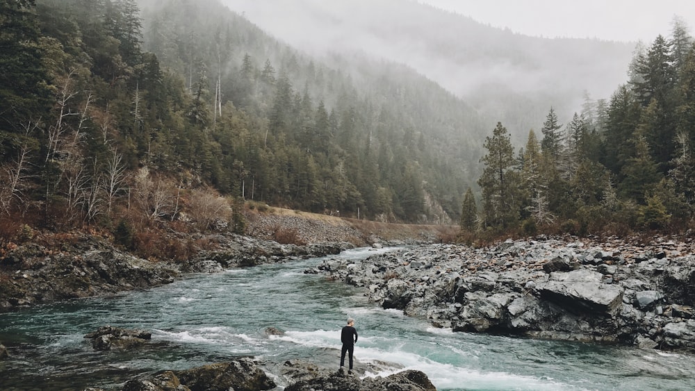 person standing on rock beside body of water between green trees