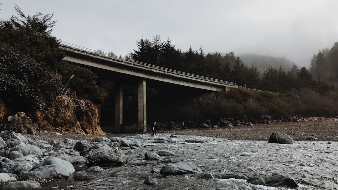 gray concrete bridge near trees at daytime
