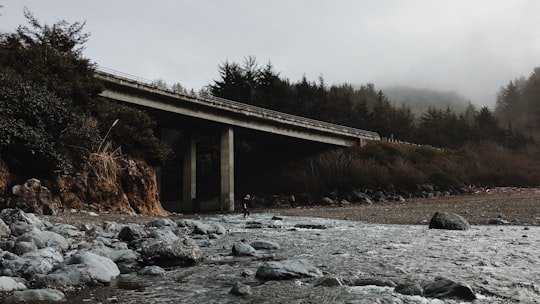 gray concrete bridge near trees at daytime in Klamath United States