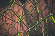 green and black rope