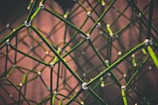 A close-up view of a complex network of green ropes interconnected with metallic joints, forming a geometric pattern. The background is softly blurred, featuring warm lighting that contrasts with the ropes.