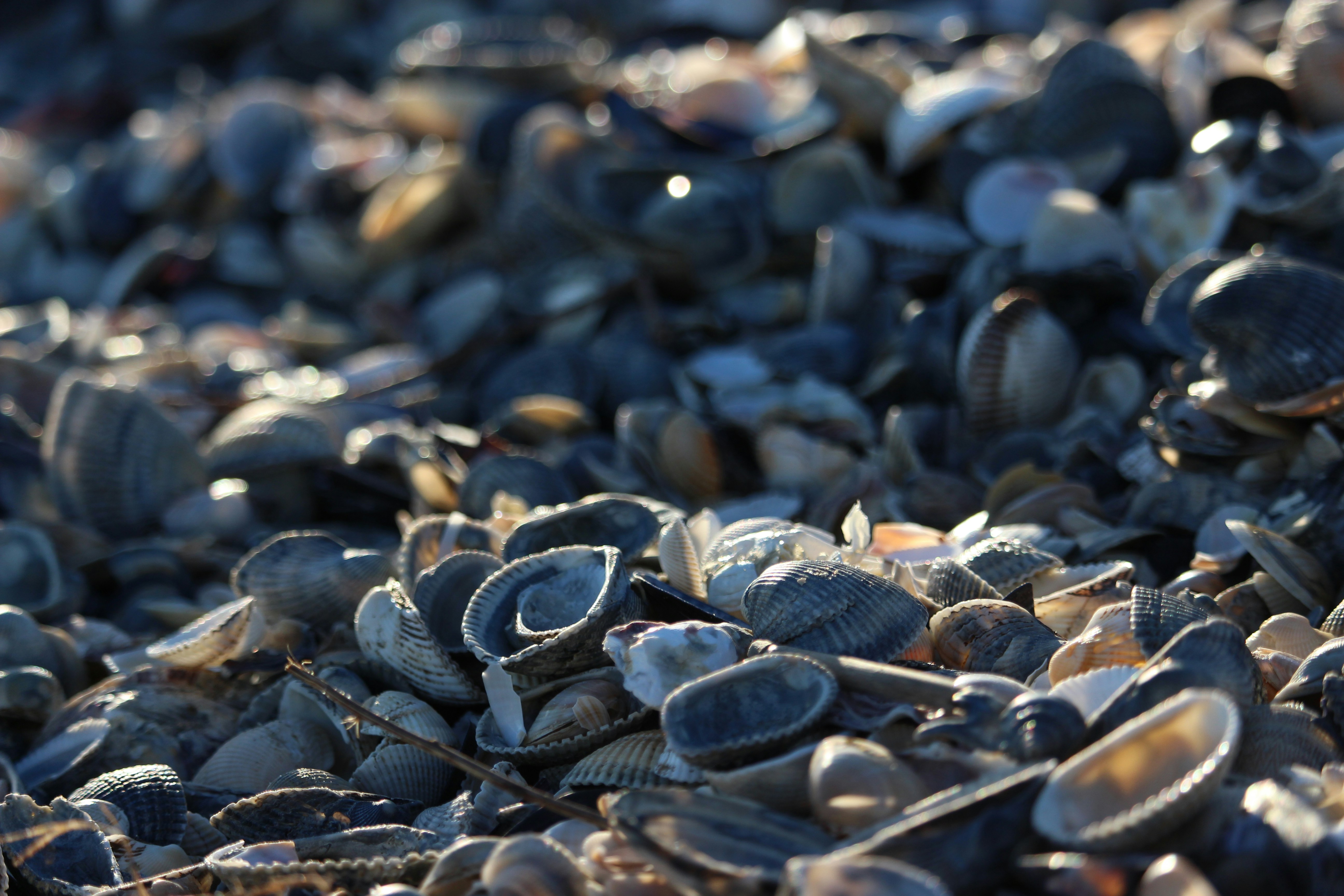 Free Unsplash photo from Cristian Giacometti