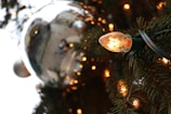 A close-up of festive lights adorning a tree.