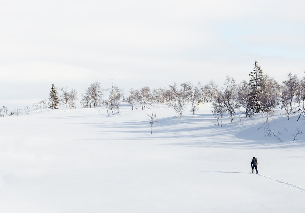 homme marchant sur un champ de neige pendant la journée