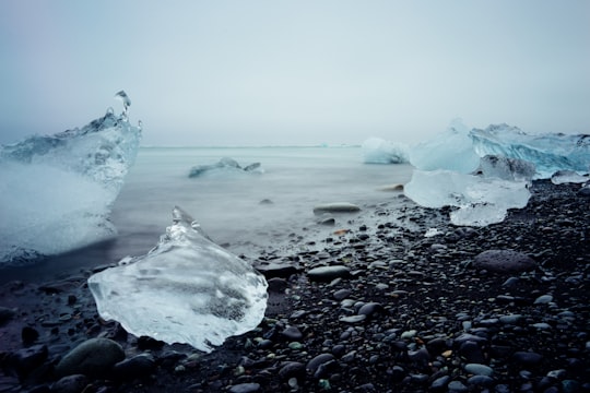 ice blocks on black stone fragment in Jökulsárlón Iceberg Lagoon Iceland