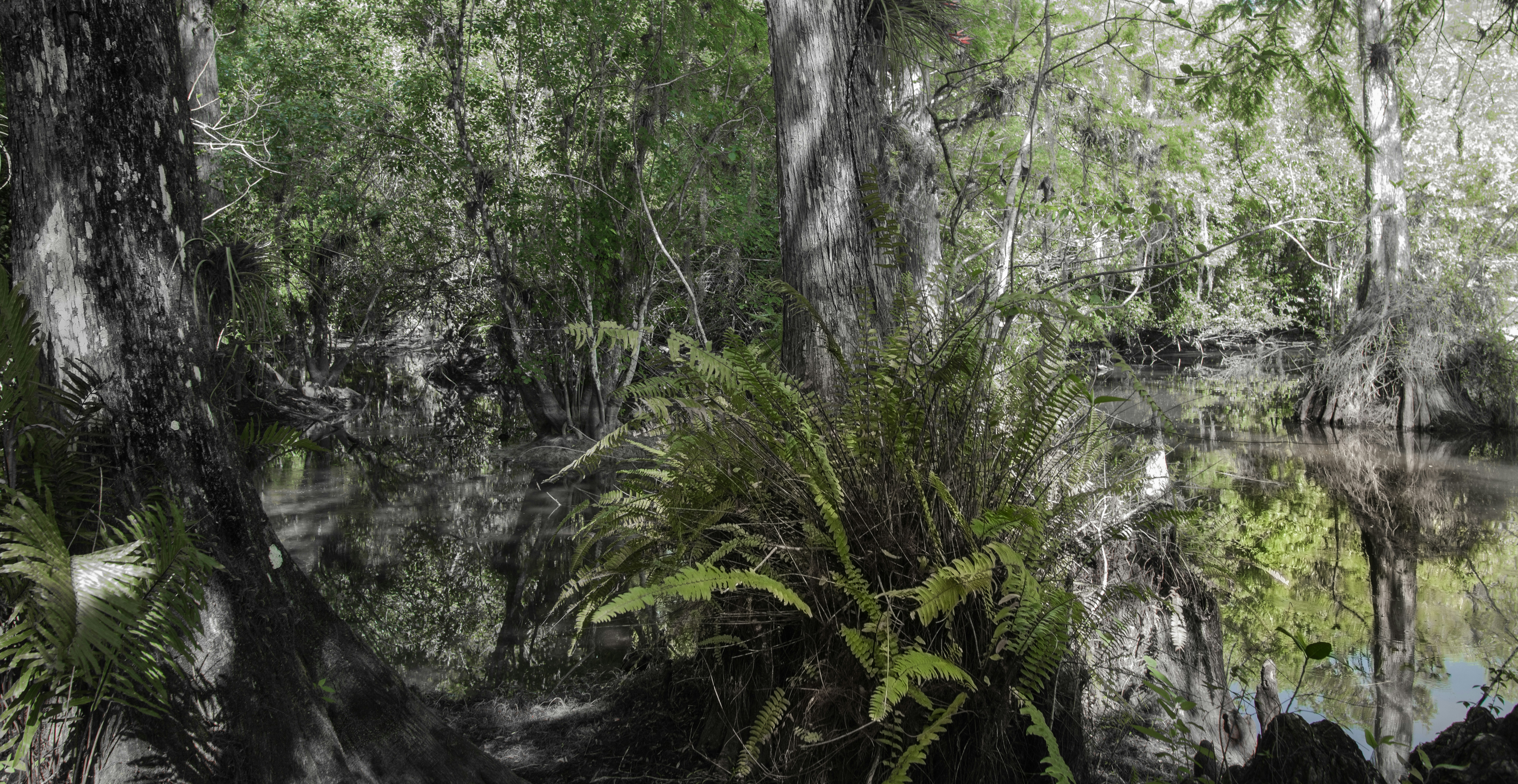 Free Unsplash photo from VICTOR C. GUIDO