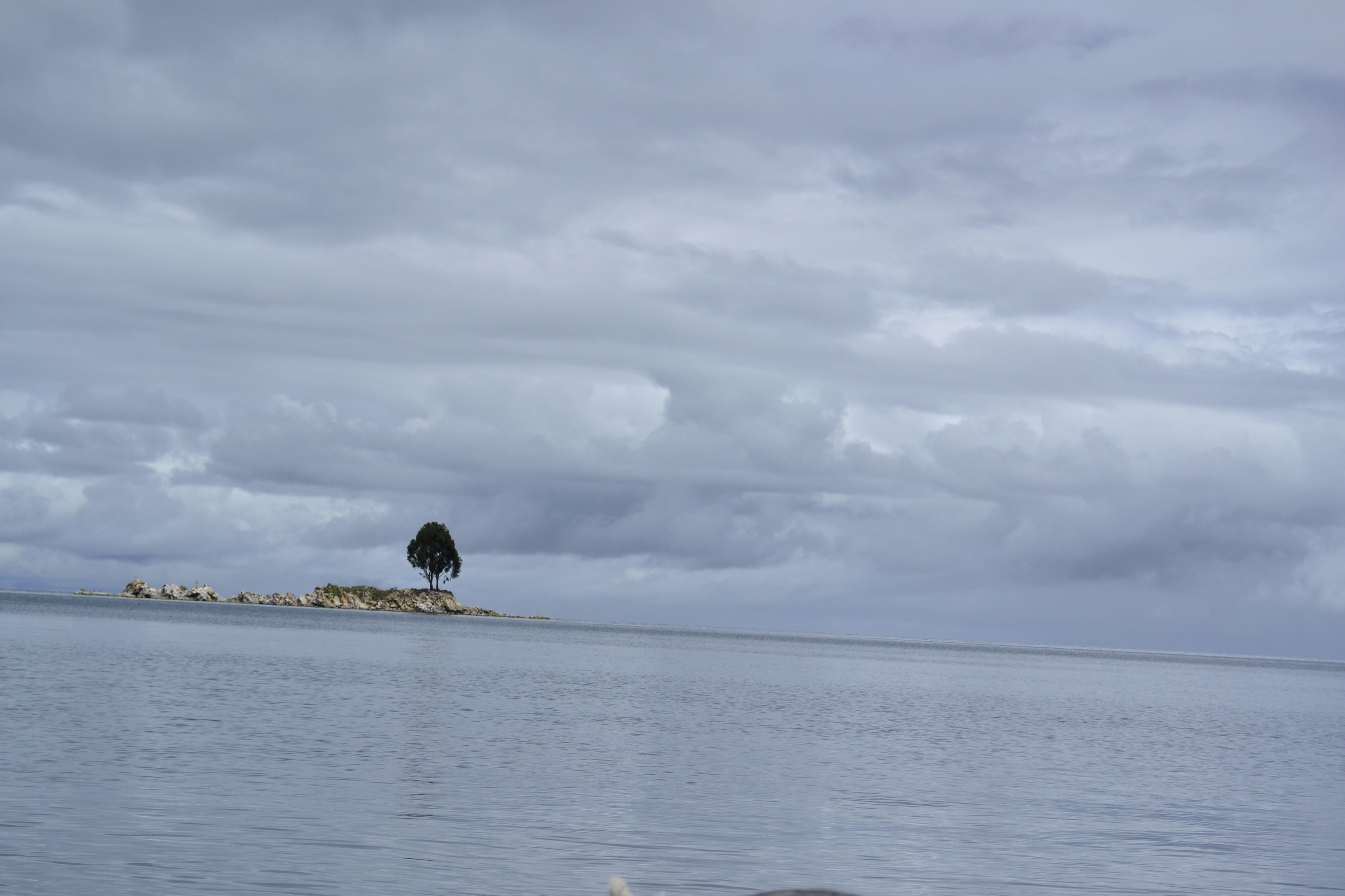 Free Unsplash photo from Carlos Torres Herazo