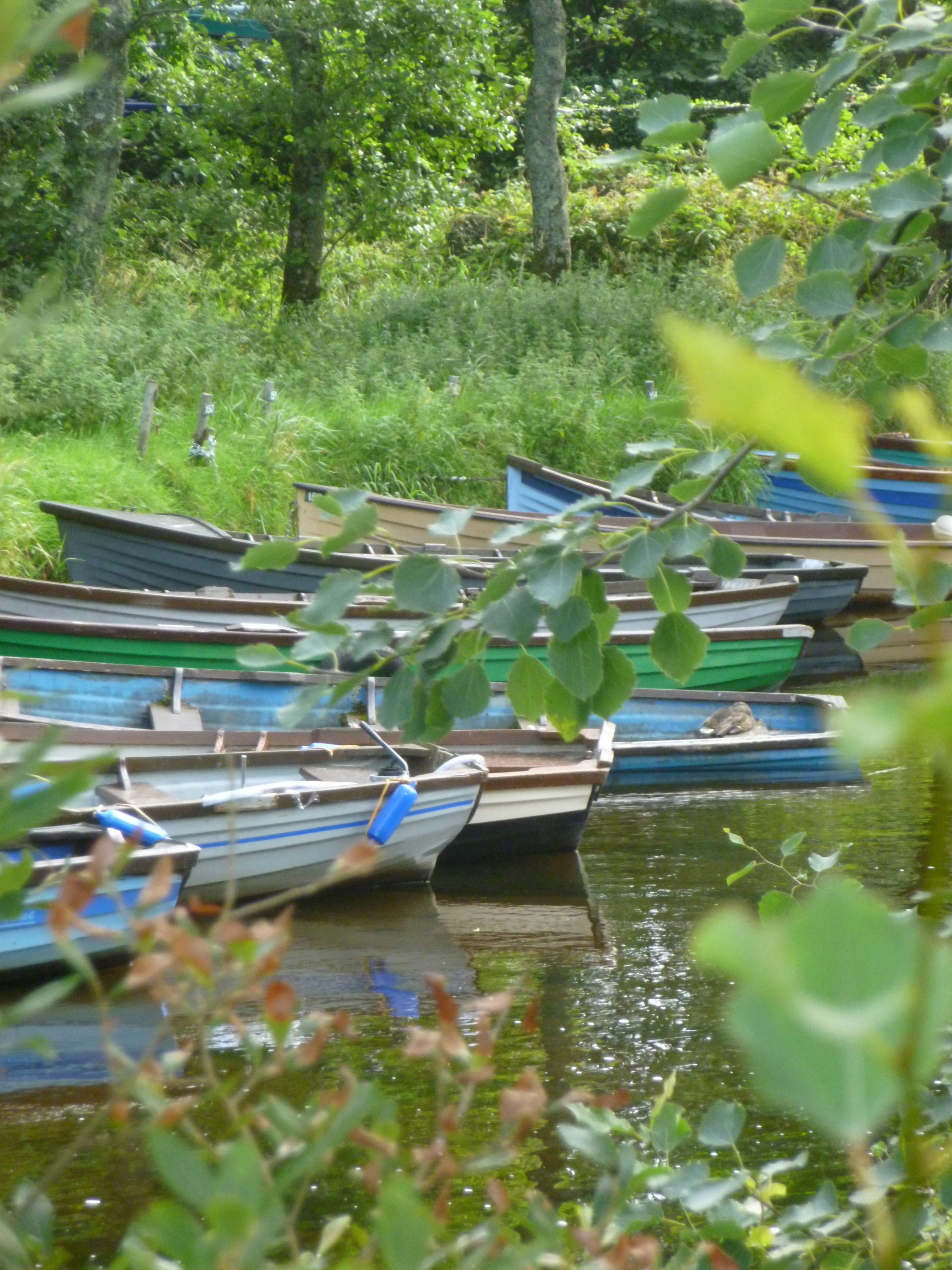 Free Unsplash photo from Body Mind Lyme