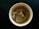 A close-up view of a teacup containing a teabag submerged in hot water. The teabag is partially transparent, showing the various dried herbs and leaves inside. The cup is white and placed against a dark background.