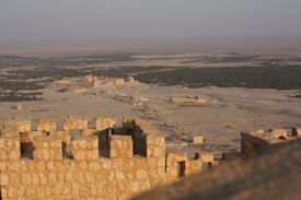 A vast ancient archaeological site in a desert landscape, with the remains of a historic city featuring classical ruins, including columns and structures made of stone. There is a stone fortification in the foreground, with the expansive desert and greenery in the background.