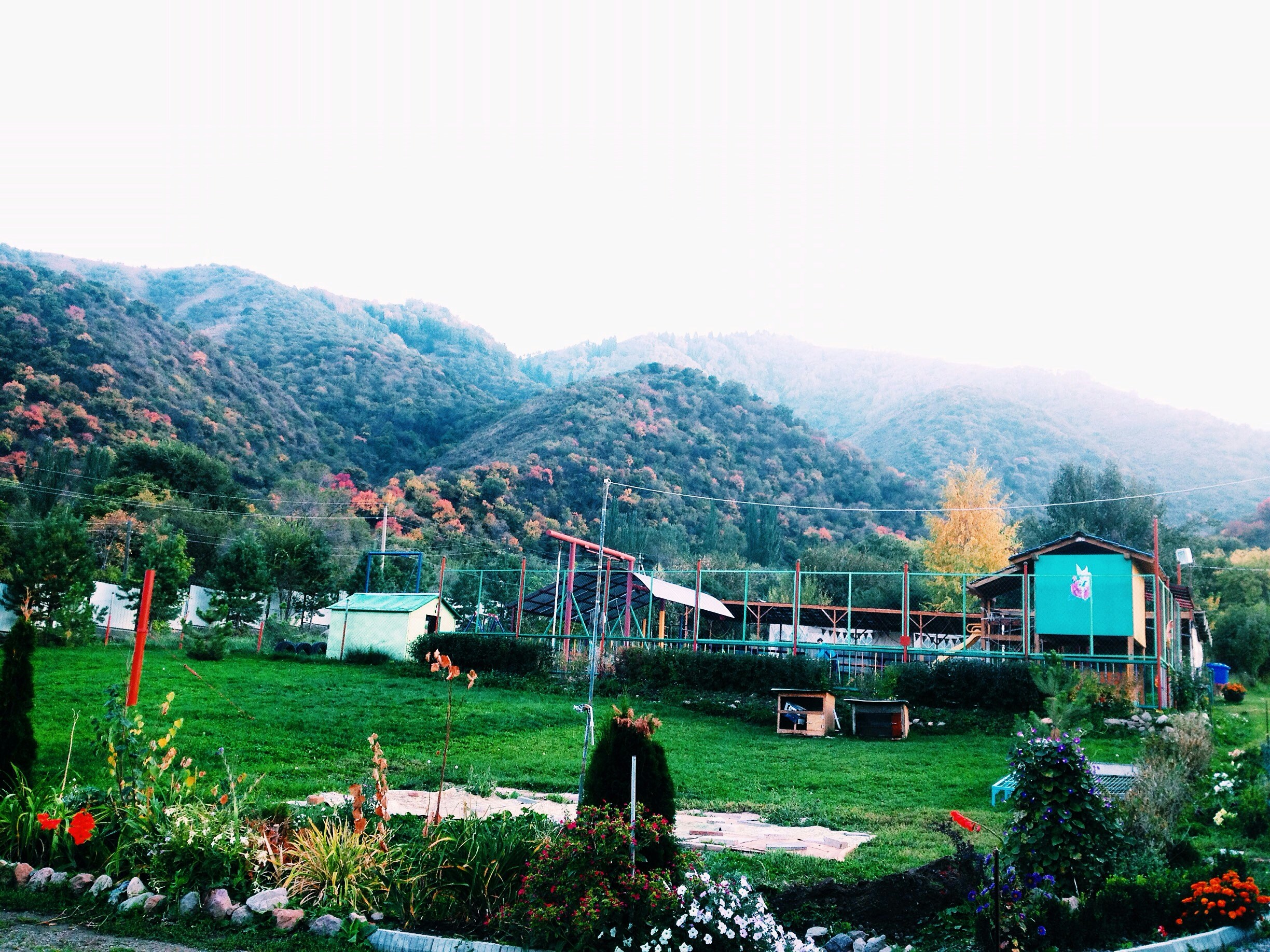 Free Unsplash photo from Baqbergen Atabayev