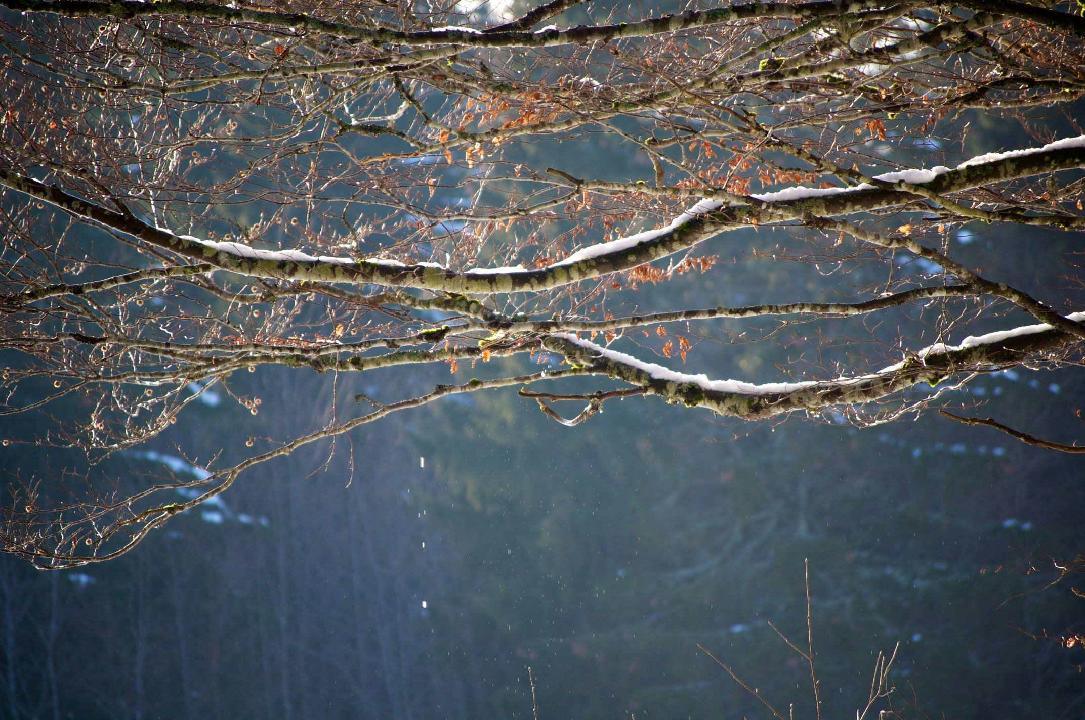 Free Unsplash photo from Pierre-Yves Canthelou