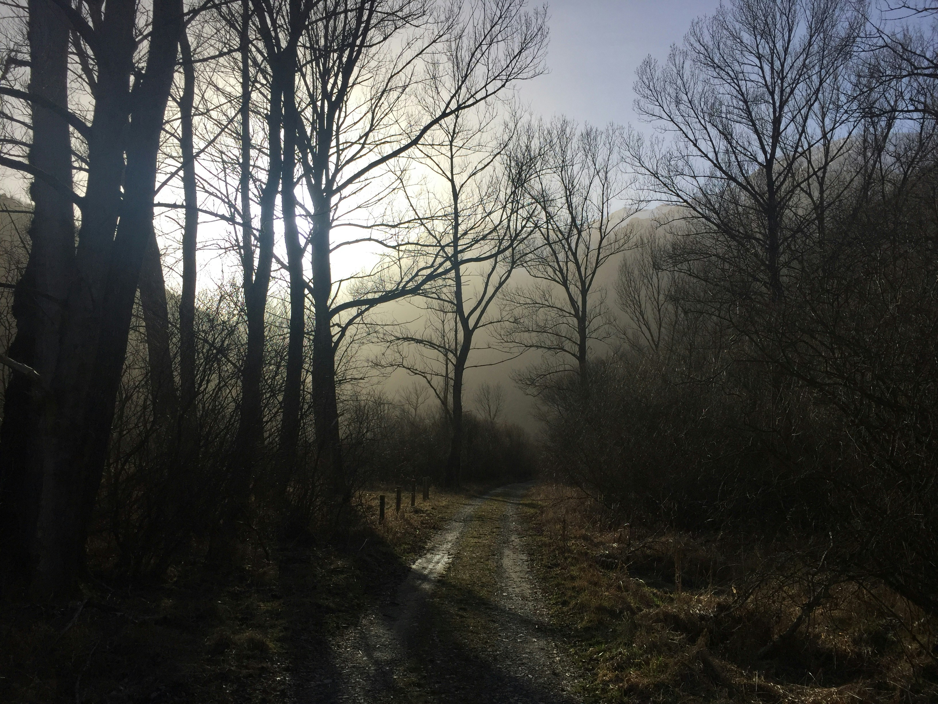 Free Unsplash photo from Santi Ruiz