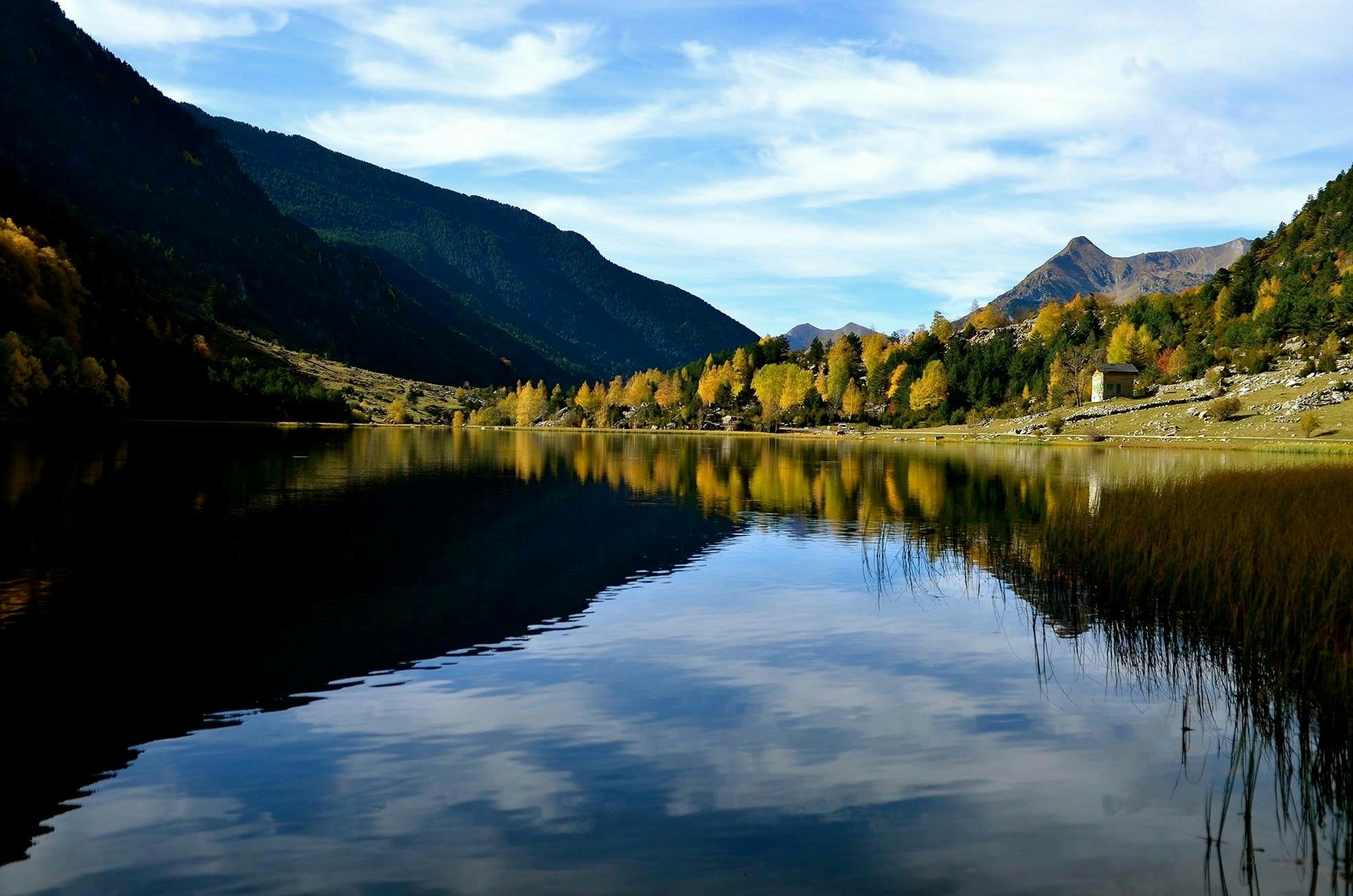 Free Unsplash photo from Santi Ruiz