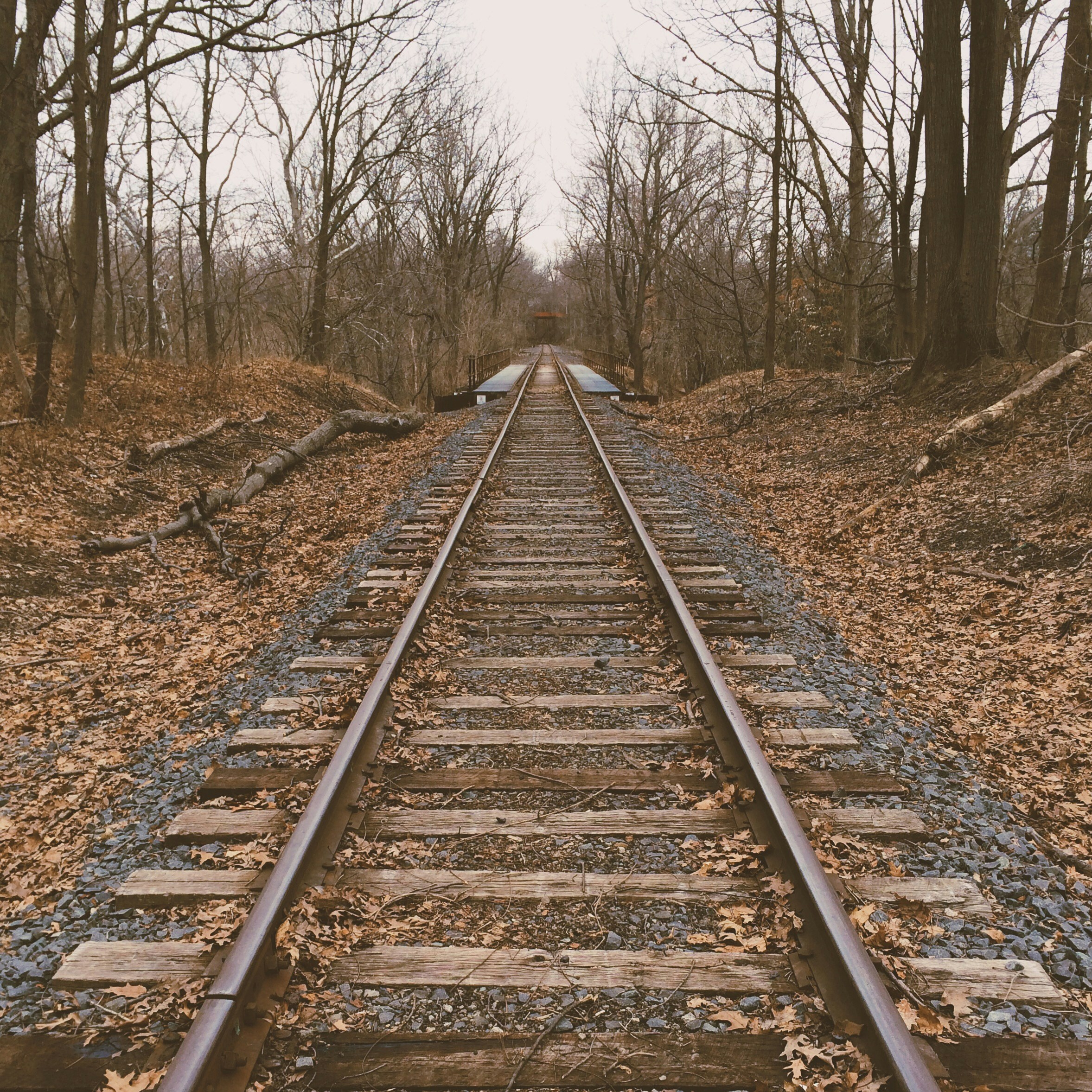 Free Unsplash photo from Jacob Culp