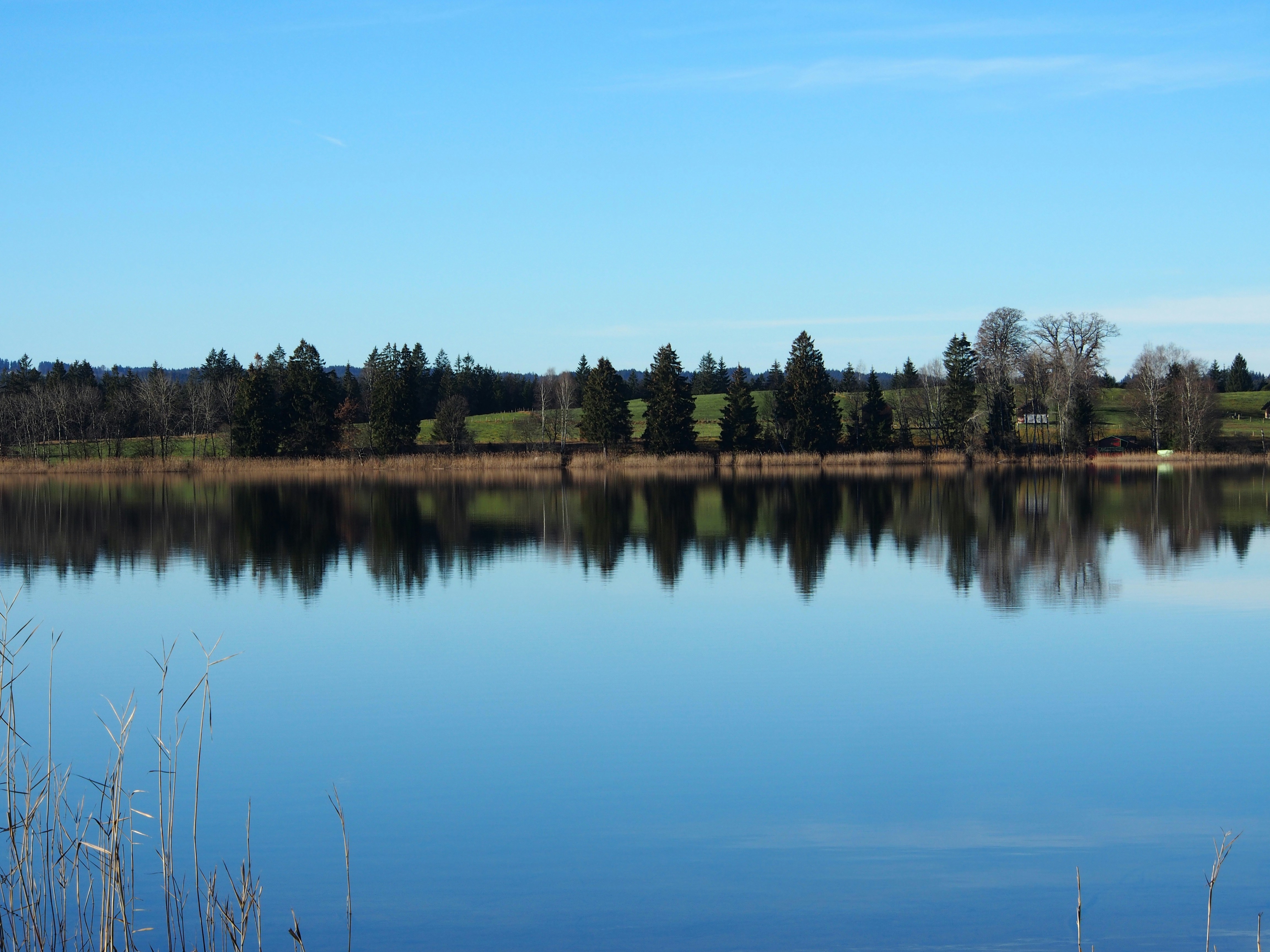 Free Unsplash photo from Friederike Welter