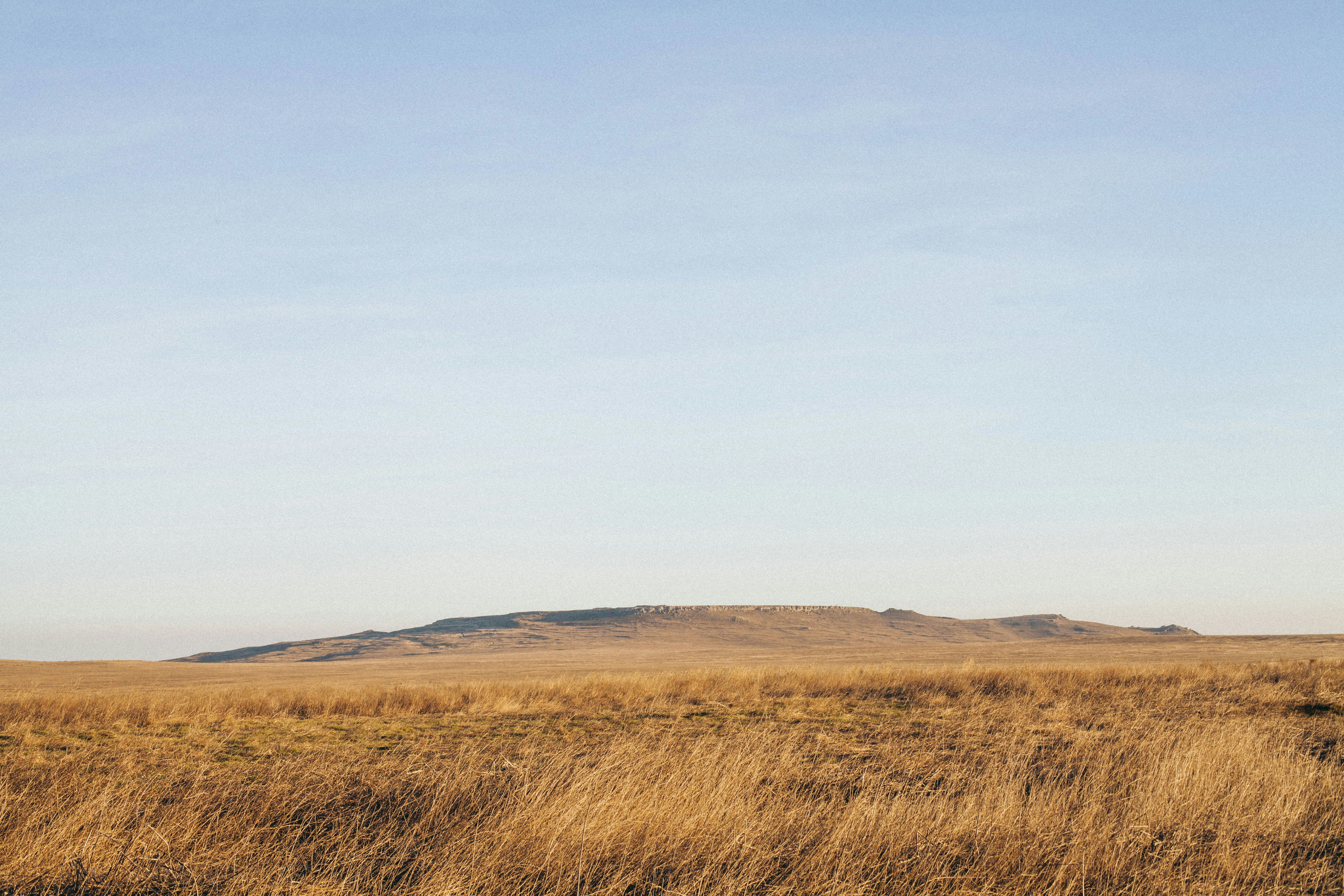 Free Unsplash photo from Alena Vinokurova